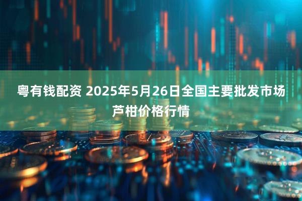 粤有钱配资 2025年5月26日全国主要批发市场芦柑价格行情