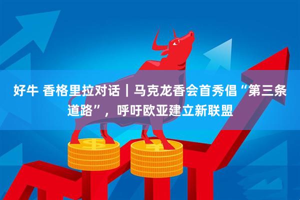 好牛 香格里拉对话｜马克龙香会首秀倡“第三条道路”，呼吁欧亚建立新联盟