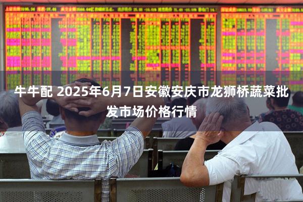 牛牛配 2025年6月7日安徽安庆市龙狮桥蔬菜批发市场价格行情