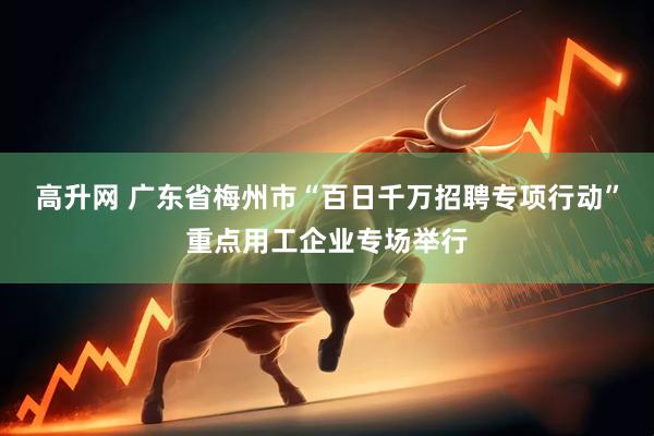高升网 广东省梅州市“百日千万招聘专项行动”重点用工企业专场举行