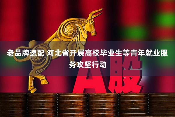 老品牌速配 河北省开展高校毕业生等青年就业服务攻坚行动