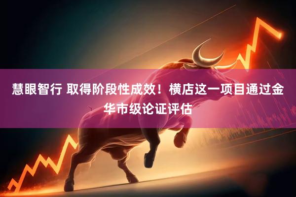 慧眼智行 取得阶段性成效！横店这一项目通过金华市级论证评估