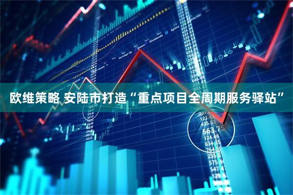 欧维策略 安陆市打造“重点项目全周期服务驿站”