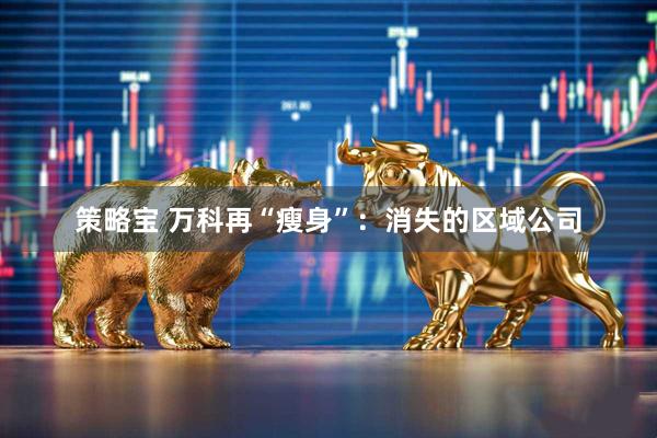 策略宝 万科再“瘦身”：消失的区域公司