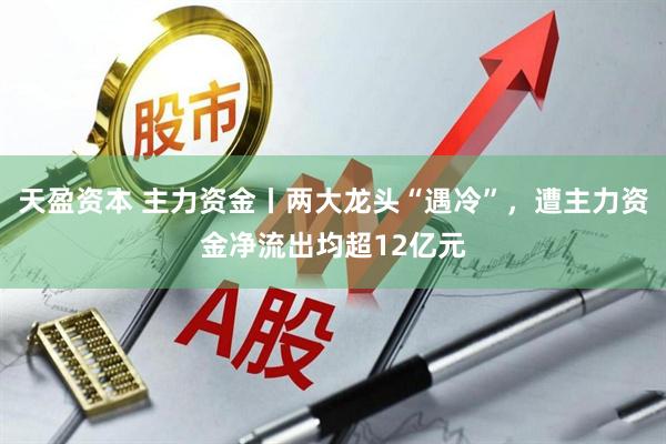 天盈资本 主力资金丨两大龙头“遇冷”，遭主力资金净流出均超12亿元