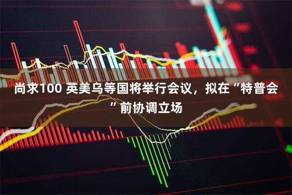 尚求100 英美乌等国将举行会议，拟在“特普会”前协调立场