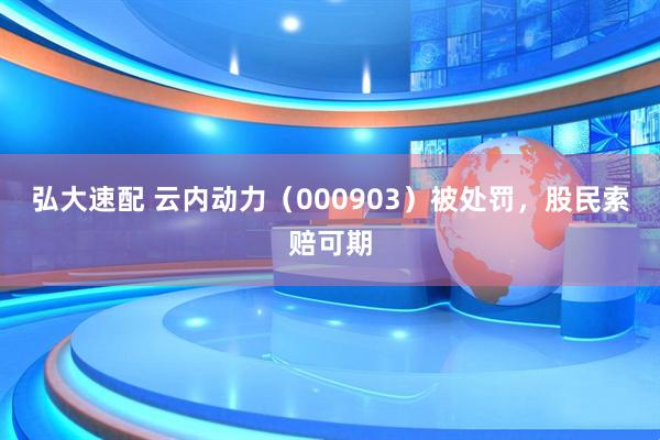 弘大速配 云内动力（000903）被处罚，股民索赔可期