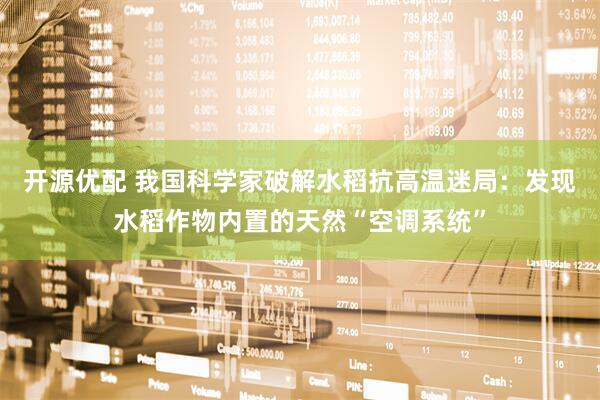开源优配 我国科学家破解水稻抗高温迷局：发现水稻作物内置的天然“空调系统”
