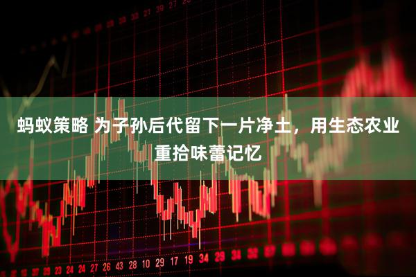 蚂蚁策略 为子孙后代留下一片净土，用生态农业重拾味蕾记忆