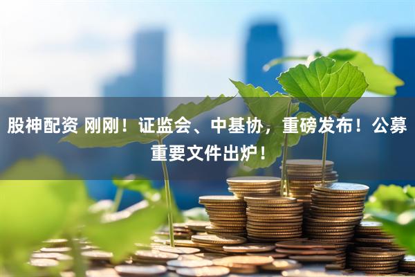 股神配资 刚刚！证监会、中基协，重磅发布！公募重要文件出炉！